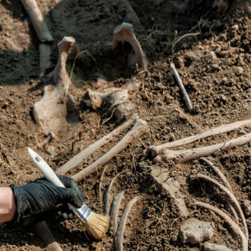 Unraveling the Mystery: 1,000-Year-Old Skeleton Couple Discovered in Germany