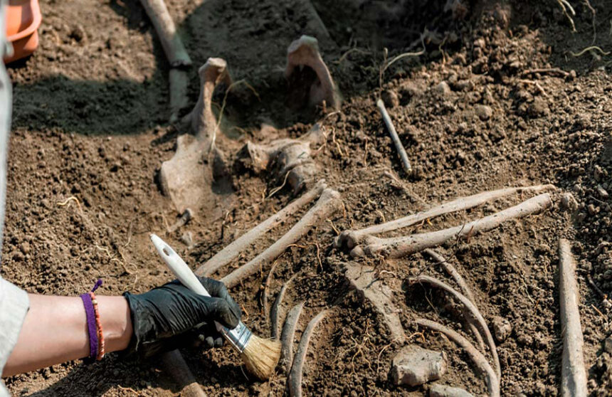 Unraveling the Mystery: 1,000-Year-Old Skeleton Couple Discovered in Germany