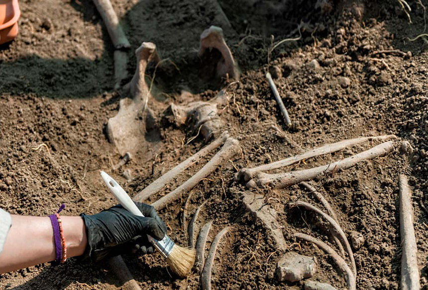 Unraveling the Mystery: 1,000-Year-Old Skeleton Couple Discovered in Germany