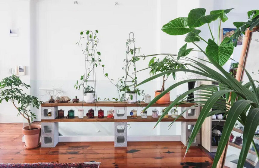 Decoding the Secret Language of Plants: Greenhouse Silent Disco Unveils Nature’s Communication