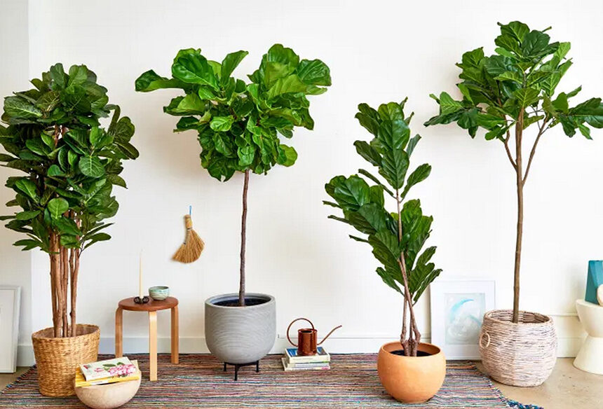 Elevate Your Greenery: 10 Stylish Houseplant Pots That Won’t Break the Bank