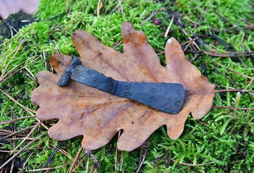 Unearthing Bronze Age Treasures: Discovery of 3,500-year-old Axes in Polish Forest