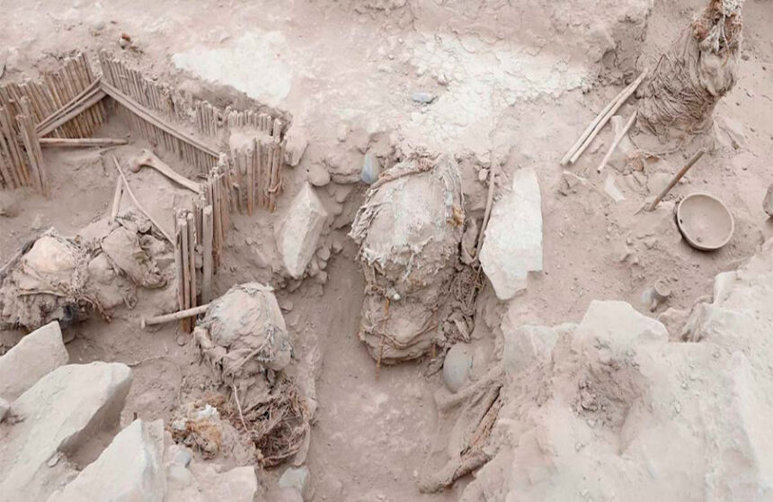 Unveiling Ancient Secrets: 1,000-Year-Old Child Mummies Discovered in Lima