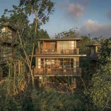 Treehouse Villa A Paradigm of Sustainable Luxury