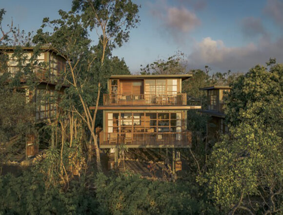 Treehouse Villa A Paradigm of Sustainable Luxury