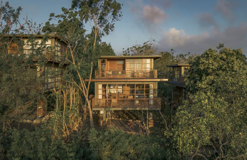 Treehouse Villa A Paradigm of Sustainable Luxury