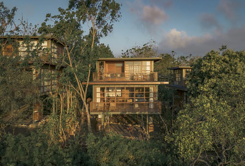 Treehouse Villa A Paradigm of Sustainable Luxury