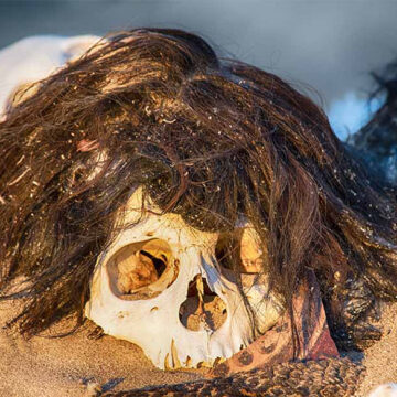 Unveiling Ancient Secrets: 1,000-Year-Old Long-Haired Mummy Discovered in Peru