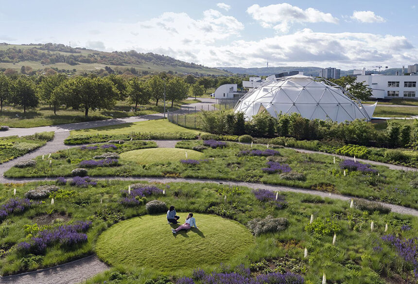 Cultivating Nature: Piet Oudolf’s Vision for Vitra Campus