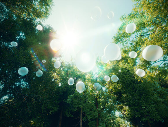 S T A R S | Cosimo Scotucci